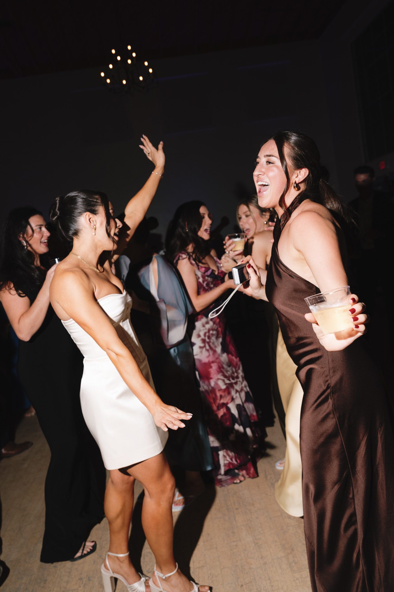 newlyweds partying and dancing. 