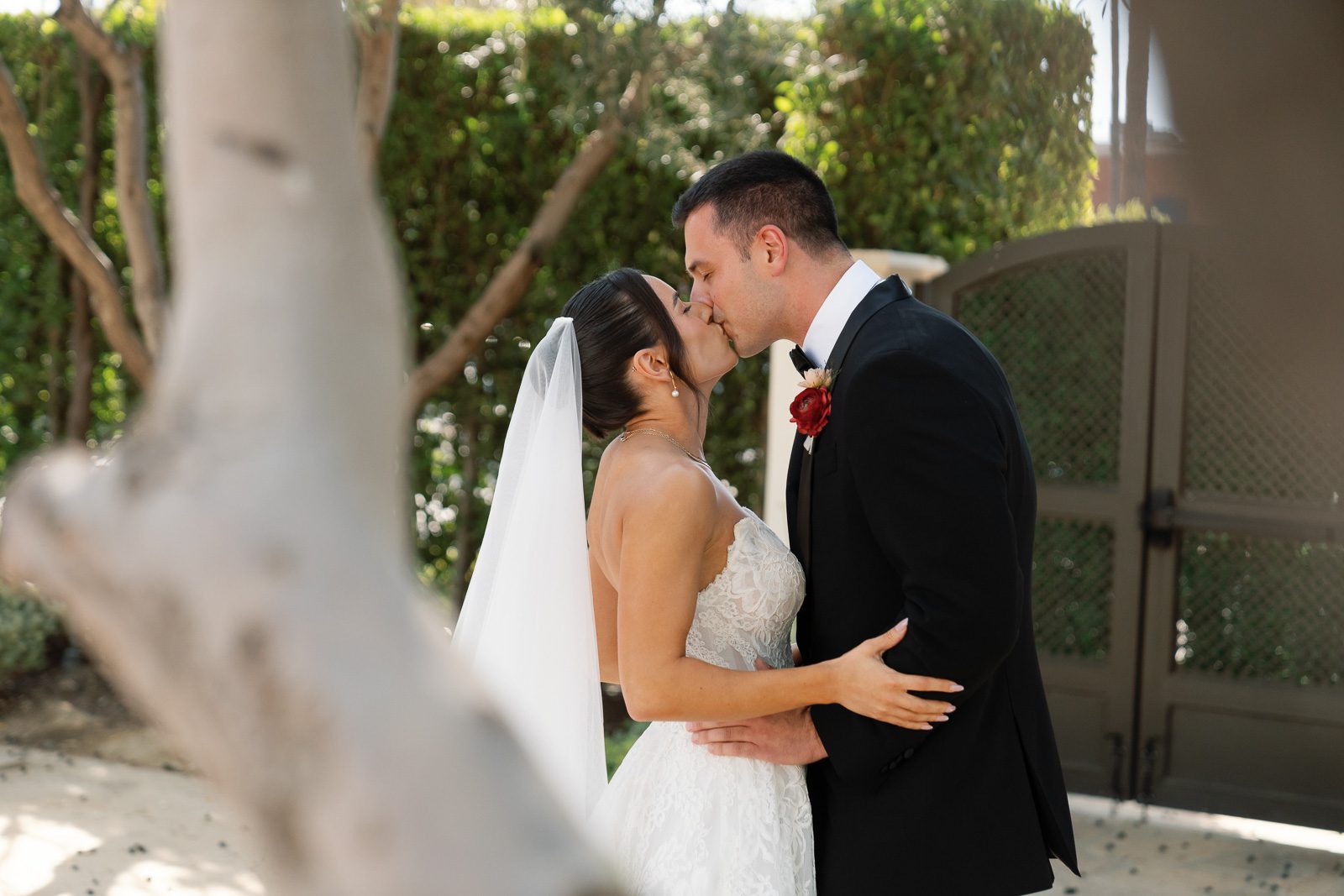 newlyweds kissing under an olive tree as part of their first look. 